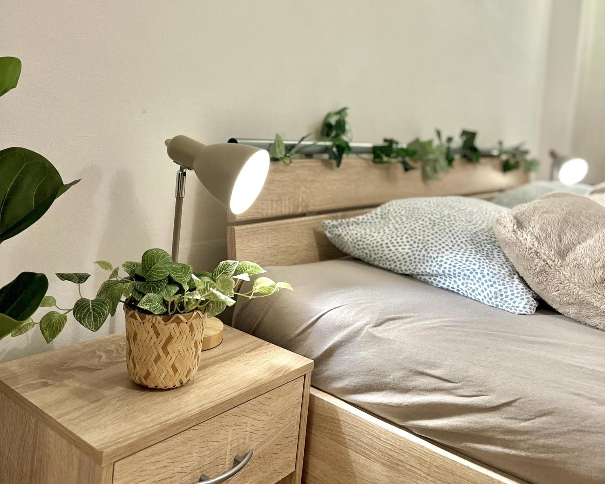 Apartment Simona - Old Town براتسيلافا المظهر الخارجي الصورة